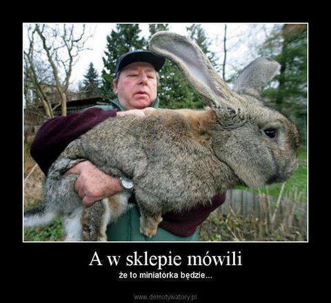 WESOŁY FILMIK MOJEGO POMYSŁU :)