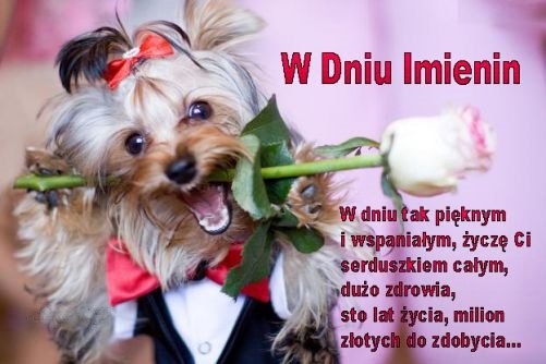 Pawełku na imieninki z serca ci slemy życzenia