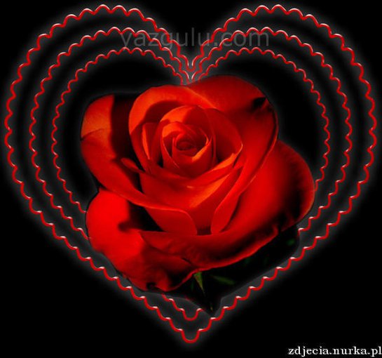 DLA  MOJEJ  KOCHANEJ   BERNARDETKI   :::  BUZIAKI