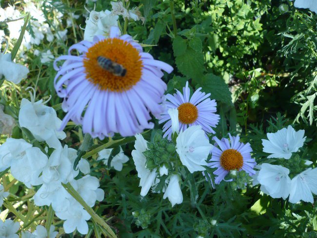 Śpiewające serca!!!