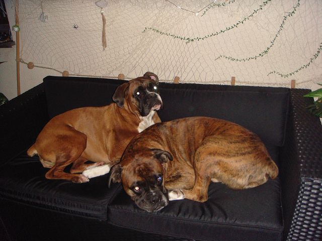 moje kochane slodziaki