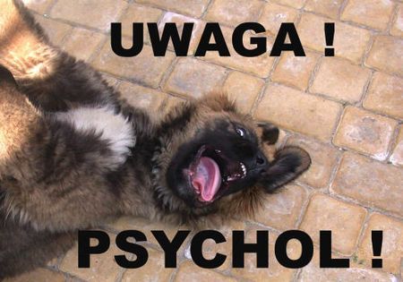 UWAGA-PSYCHOL
