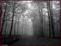 Pejzaż bez Ciebie...