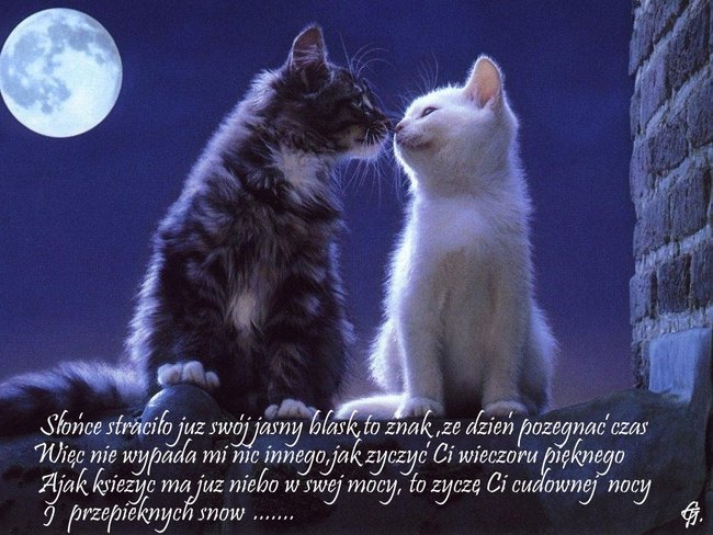 DLA WSPANIAŁEJ PRZYJACIÓŁKI NA DOBRANOC