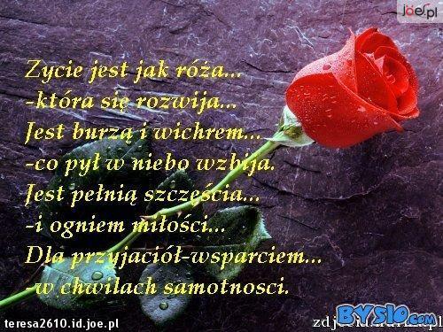 DLA WSZYSTKICH PRZYJACIÓŁ MOICH I ZNAJOMYCH