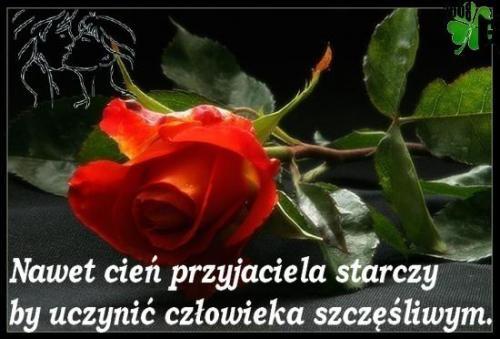 DLA PRZYJACIÓŁKI BOŻENKI