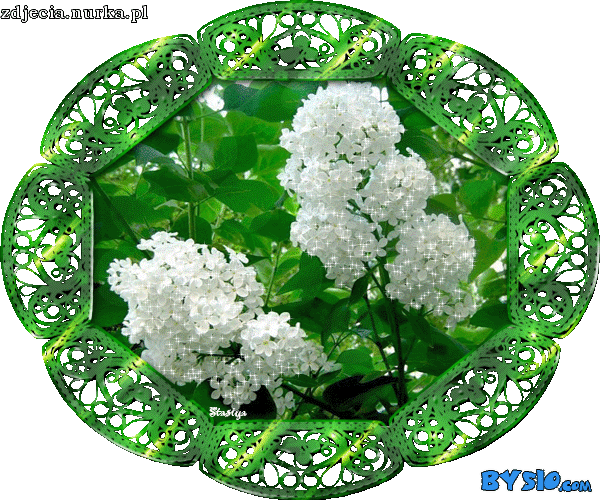 ###    DZIEN   DOBRY  ###   SLONECZNEGO  DZIONKA  TOBIE  ZYCZE