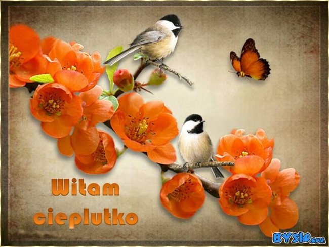 Irenko na urodzinki -Basia