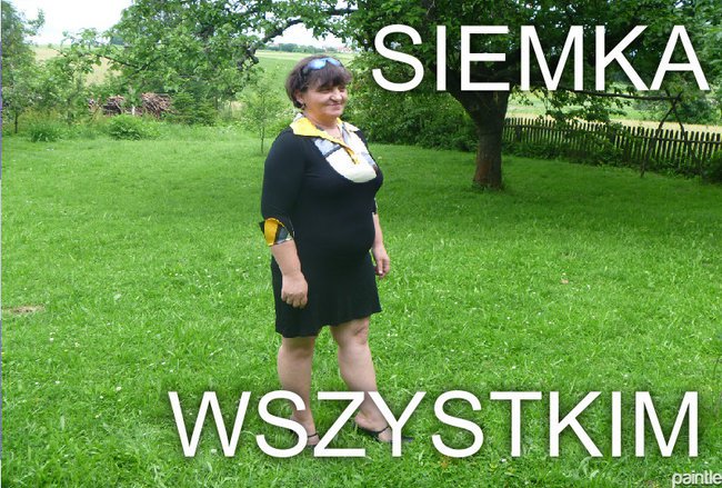 LATO W PEŁNI