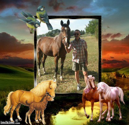 DLA WŁODKA W DNIU URODZIN.