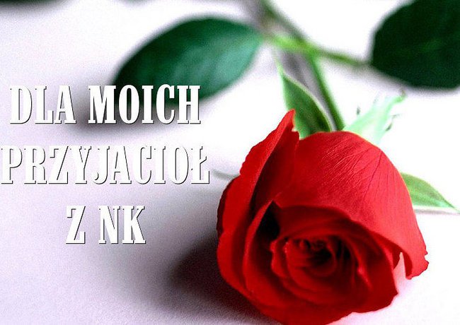 PPRZYJAŻŃ, MIŁOŚĆ TO SKARB