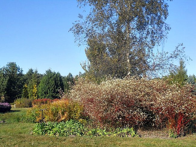 Ogród Botaniczny w Powsinie