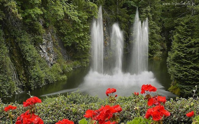 Odchodzisz kiedy kocham....