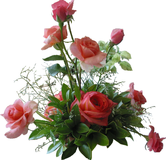 VA  PENSIERO - Leć myśli ....