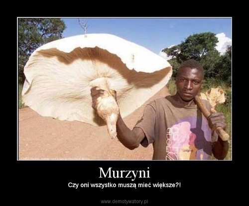 ARKADIUS SCHINDZIELORZ