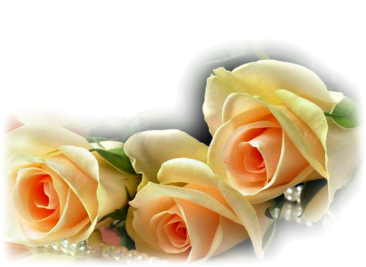 NIC  NIE  JEST  TAKIE  JAK  DOM