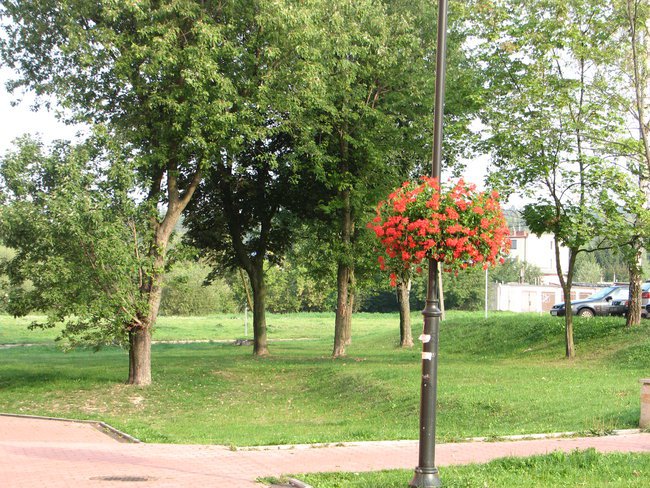 SKARŻYSKO - KAMIENNA