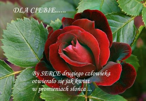 PODZIĘKOWANIE  ZA  PAMIĘĆ ..