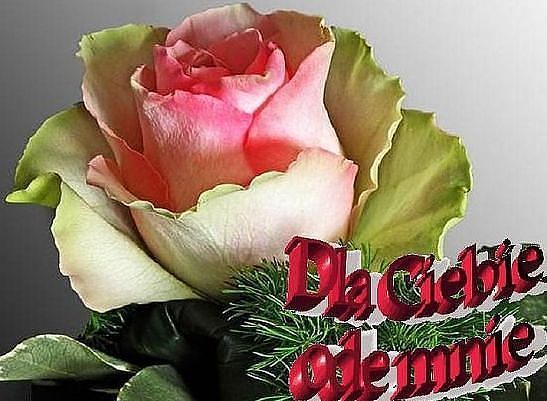 W DNIU URODZIŃ  MARYSI