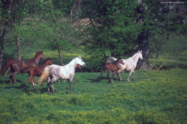 TAKIE CUŚ NA POPOŁUDNIU