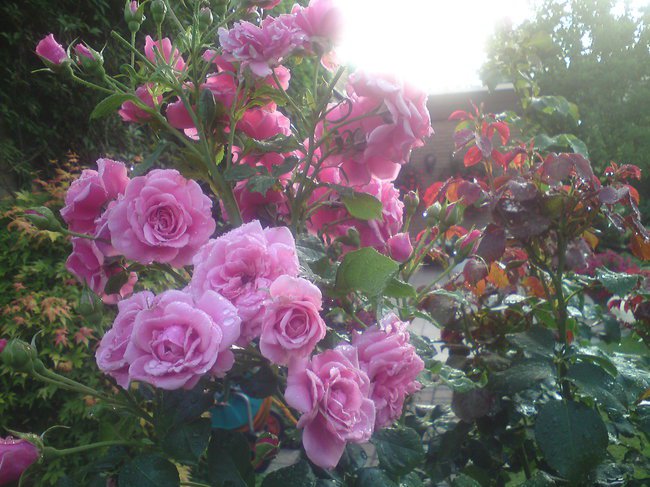 Powiedz dlaczego....