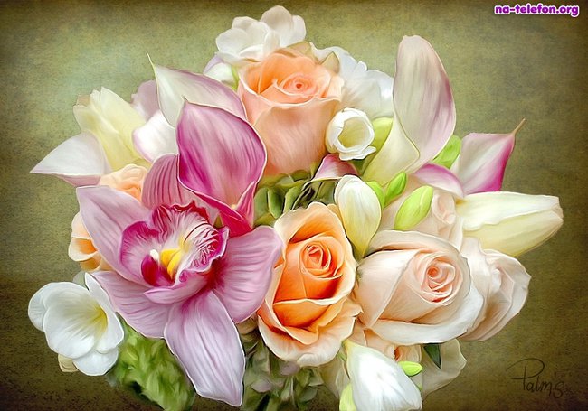 moje ulubione kwiaty