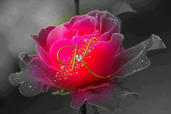 Robert to dla Ciebie