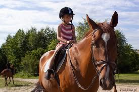 Moje śliczne końie