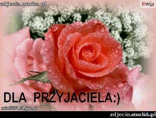 DLA MOICH ZNAJOMYCH