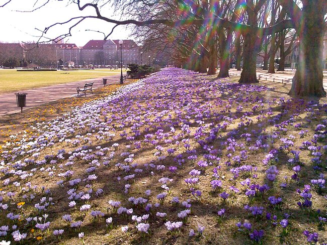 Szczecin -nasze miejsce
