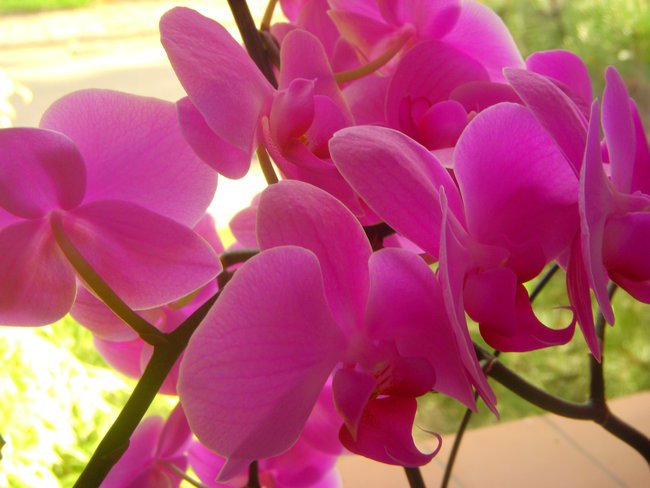 PODIĘKOWANIE DLA PRZYJACIÓŁ