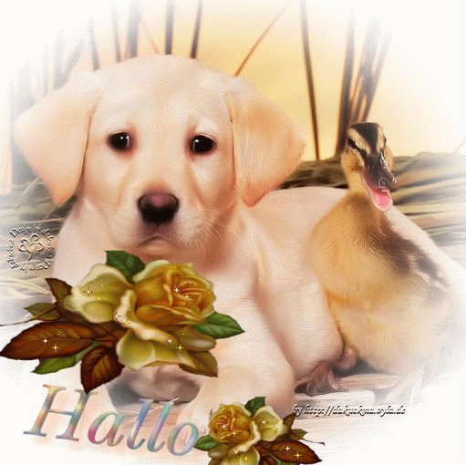 PRZYJAŻŃ MOŻE BYĆ FAJNA