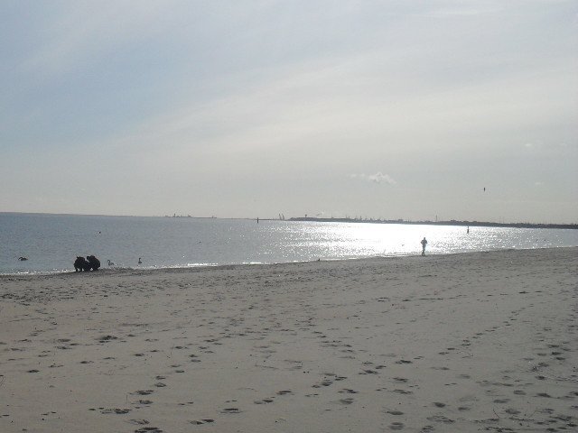 Historia pewnej znajomości