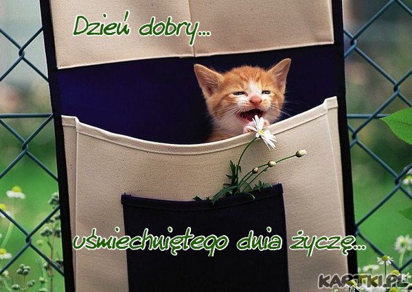 100 lat Bozenko urodzinowe