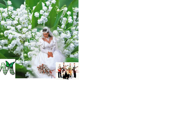 POZDROWIENIA WESELNE