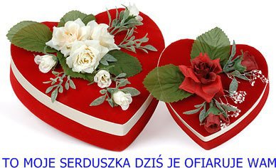 WITAM CIE URODZINOWO ANIA