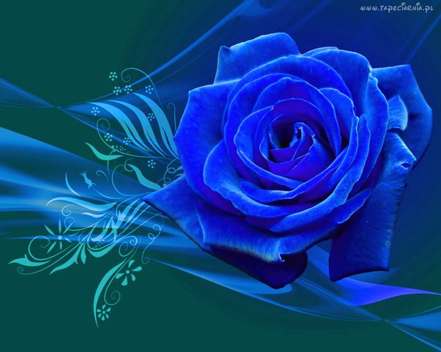 Spacer  brzegiem morza