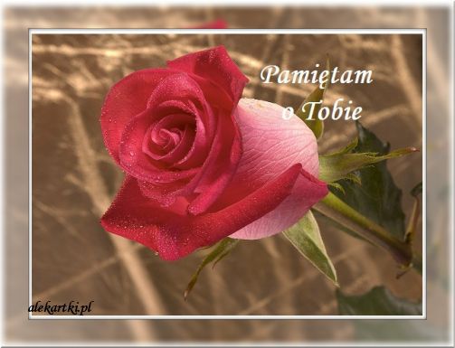 PROSTO Z SERCA :)) KRYSIENKO;))