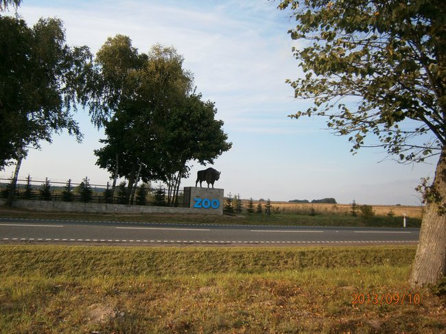 Wycieczka z Klubem  do  ZOO na Canpolu.