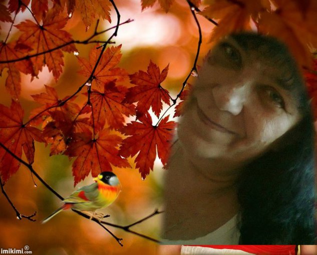 milego wieczoru i spokojnej nocy