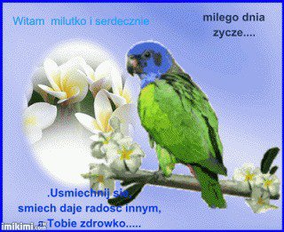 Pomoc dla Igorka Gustawa