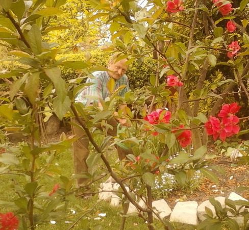 W Dniu Urodzin......