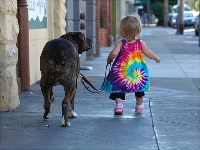 Tego nie zobaczysz z auta....