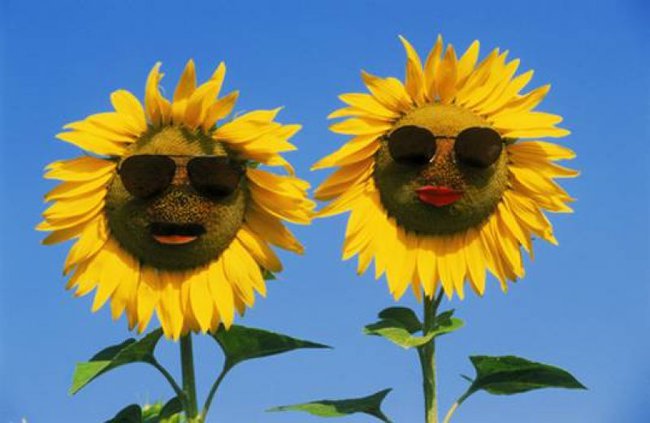 Dla mych przyjaciol z NK Irmin