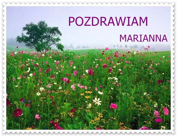 POLSKIE  KWIATY.