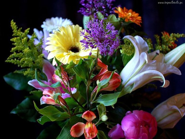 Dla Przyjaciół z NK