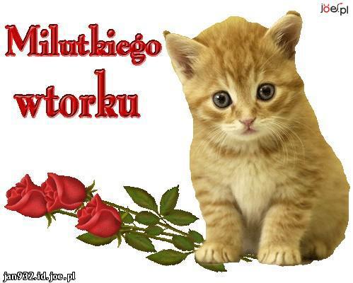 od basi dla przyjaciol z nk i fecbuka