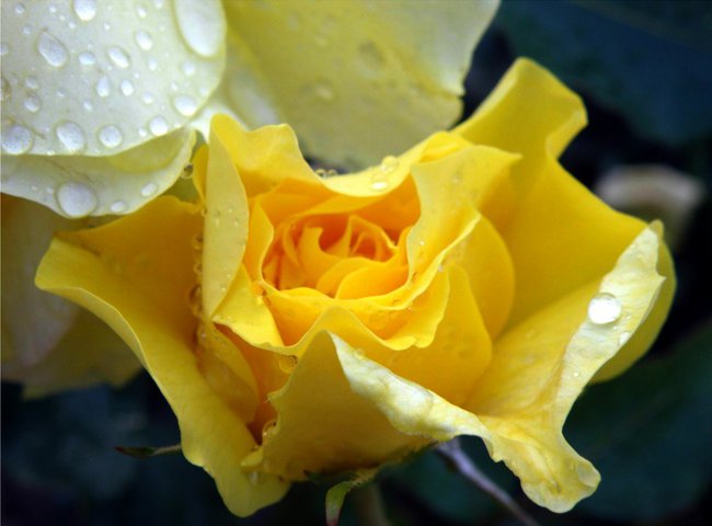 Symetria uśmiechu...