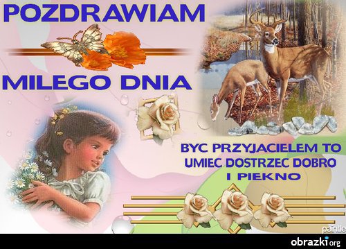 UDANEGO NOWEGO TYGODNIA