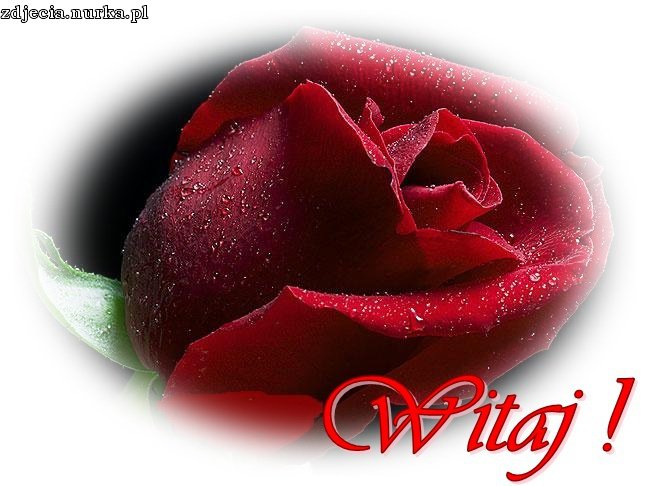 Pozdrawiam WAS KOCHANI PRZYJACIELE iDZIEKUJĘ ZA WASZĄ OBECNOŚĆ I PRZYJAŻŃ.BUZIACZKI:)